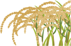 suncl79.gif