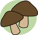 suncl80.gif