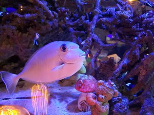 20201005_131116.jpg