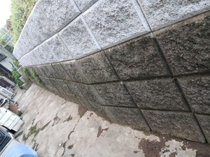 20210725_180919.jpg