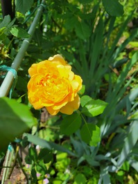 20220515_131931.jpg