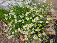 20220515_132034.jpg