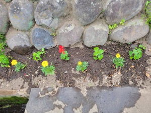 20220625_170041.jpg