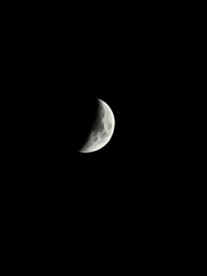 20221031_173936.jpg