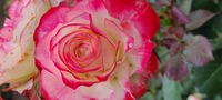 20230513_083652.jpg