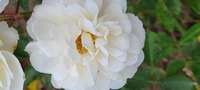 20230513_083659.jpg