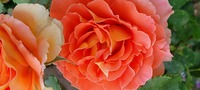 20230513_083718.jpg