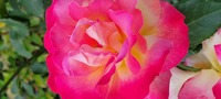 20230513_083734.jpg