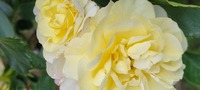 20230513_083845.jpg