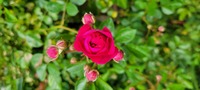 20230513_083946.jpg