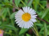 20211121_125525.jpgのサムネール画像のサムネール画像