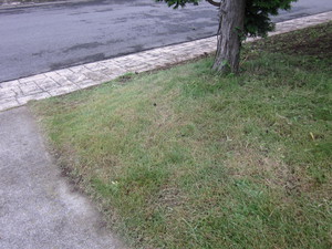 IMG_1678.jpg