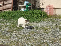 20230414_082423.jpg
