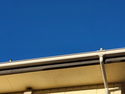 20221127_073531.jpg