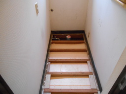 DSCN1151.JPG