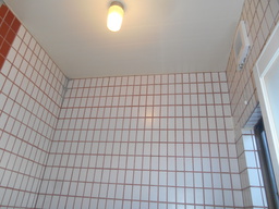 DSCN4366.JPG