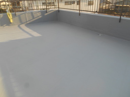 DSCN4503.JPG