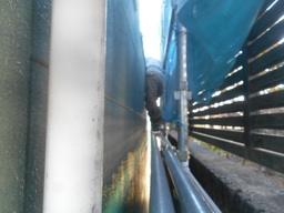 DSCN5180.JPG