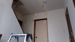 IMG_20201209_154854.jpg
