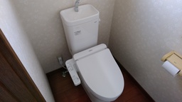 IMG_20201217_094630.jpg