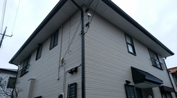IMG_20220404_094418.jpg