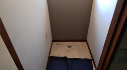 IMG_20220411_153227.jpg
