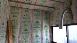 IMG_20220523_140455.jpg