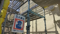 IMG_20220916_093301.jpg