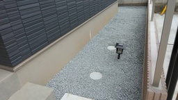IMG_20220922_080515.jpg