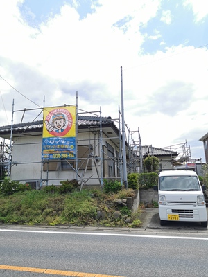IMG_20220523_094841.jpg