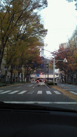 201011141637001.jpg
