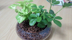 201012010131001.jpg