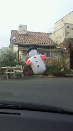 201012161313000.jpg