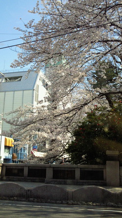 201104131513000.jpg