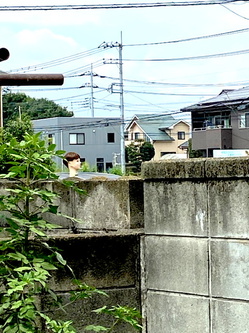 DF6B30D8-EDD6-49C9-9B98-4C29374EBFEE.jpeg