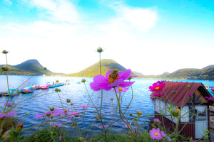 315BD0AF-9EB3-44C4-9A9D-9C06DACC513E.jpeg