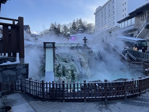 4632558B-1560-426E-9B6E-35142970E1D4.jpeg