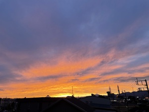 907501C8-184E-4073-9B76-BAE12825B813.jpeg