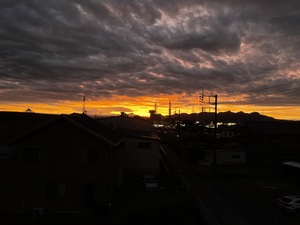 D00F3790-874B-4EAC-AA1D-2BBD9A9C78FC.jpeg