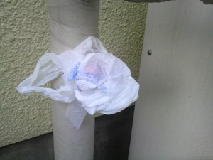 2012012707480000.jpg