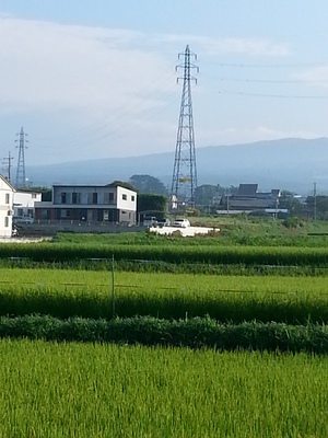 20130822_072435.jpg