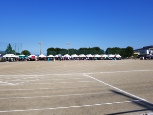 20171001_074840.jpg