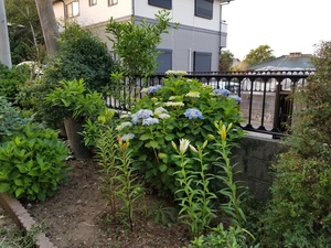 20180603_045427.jpg