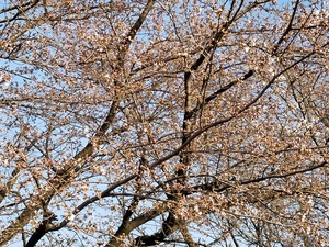 20180326_163013.jpg