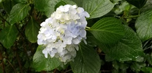 20190629_111628.jpg