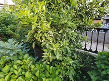 20200514_182639.jpg