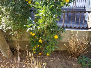 20201029_075936.jpg