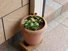 20201203_115909.jpg