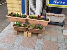 20201203_115926.jpg