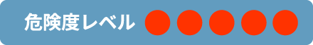 危険度レベル５